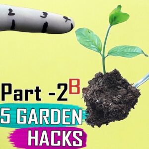 SEED HACKS  PART 2: Seeds & Seedlings Garden Hacks Compilation by Garden Tips