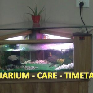 AQUARIUM CARE and MAINTENANCE in Summer and Winter - HOW TO KEEP YOUR AQUARIUM CLEAN