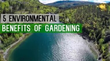 GARDENING: SAVE THE WORLD - Environmental Benefits - Gardening Hobby and Plants - GO GREEN!
