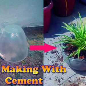 Easy Cement Pot Making at Home for Garden