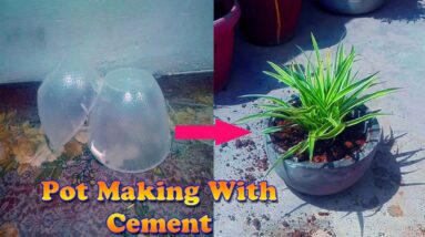 Easy Cement Pot Making at Home for Garden