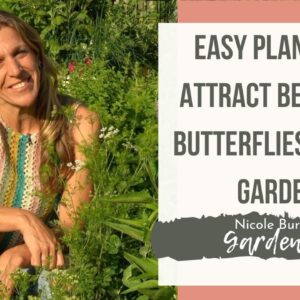 Easy Plants that Attract Bees and Butterflies to the Garden