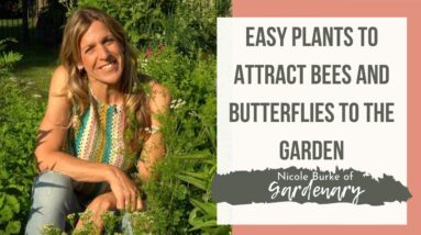 Easy Plants that Attract Bees and Butterflies to the Garden