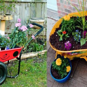 Decorative Wheelbarrow Used for Flowers | Wheelbarrow Flower Arrangements