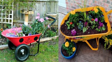 Decorative Wheelbarrow Used for Flowers | Wheelbarrow Flower Arrangements
