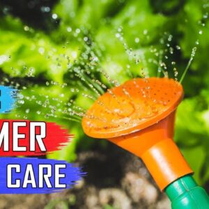 SUMMER GARDENING TIPS: 10 Tips on How to Take Care of Your Plants in Summer Season