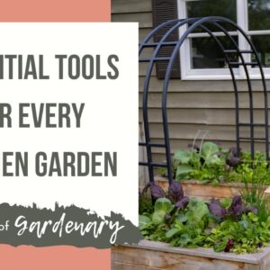 Essential Tools for Every Kitchen Garden