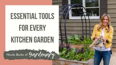 Essential Tools for Every Kitchen Garden
