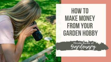 How to Monetize Your Garden-the First and Easiest Step to Grow a Garden Business