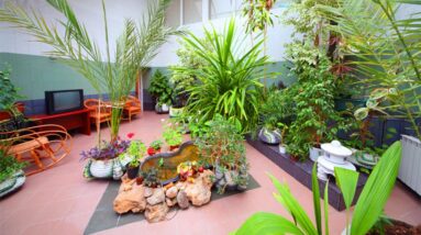 Fabulous Indoor Garden Decorating Ideas | DIY Gardening ideas