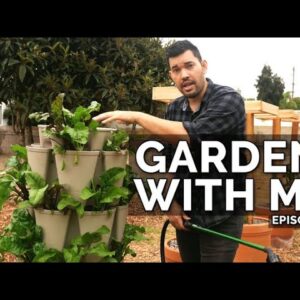 Garden With Me: Watering, Transplanting, Multi-Sowing, & Dragon Fruit