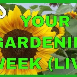 Gardening and Food Preservation (Q & A)