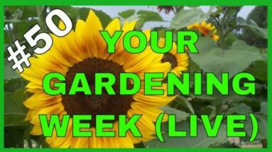 Gardening and Food Preservation (Q & A)