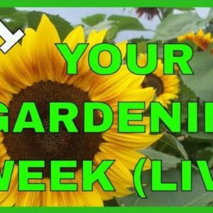Gardening & Spring Weather (Q & A)