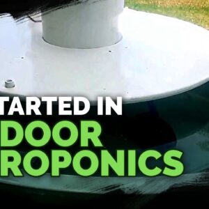 Getting Started With Outdoor Hydroponics