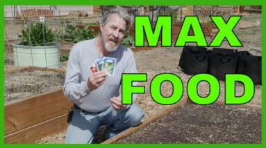 Grow MORE Food in LESS Space (10 Ways)