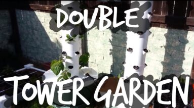 Growing With Two Tower Gardens