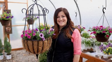 Hanging Baskets: Part 2