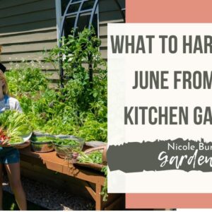 What to Harvest in June from the Kitchen Garden with Nicole Burke of Gardenary