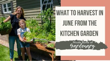 What to Harvest in June from the Kitchen Garden with Nicole Burke of Gardenary