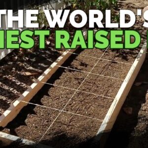 How to Build Cheap, DIY Raised Garden Beds In Under 30 Minutes