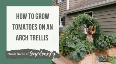 How to Grow Tomatoes Up an Arch Trellis with Nicole Burke of Gardenary