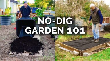 How to Make a No Dig Garden Bed With @Charles Dowding