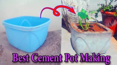 How to Make Amazing Creative Designer Cement Pot at Home