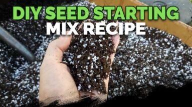 How To Make The Best Seed Starting Mix and Potting Soil