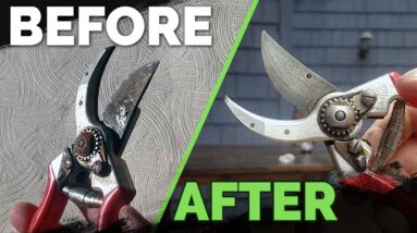 How to Remove Rust From Your Gardening Tools Easily!