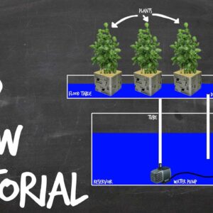 How to Set Up an Ebb and Flow DIY Hydroponics System (Flood and Drain)