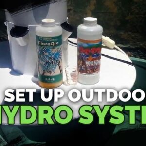 How To Set Up An Outdoor Hydroponics System