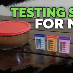 How to Test Your Soil for Nutrients