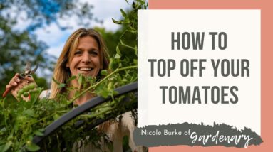 How to Top Off Tomatoes