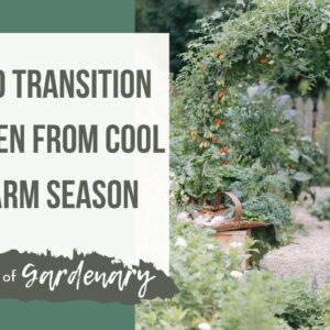 How to Transition a Garden from Cool Season to the Warm Season