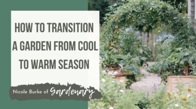 How to Transition a Garden from Cool Season to the Warm Season