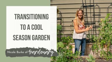 How to Transition to a Cool Season Garden