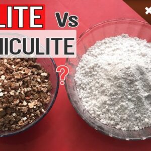 PERLITE vs VERMICULITE IN GARDEN SOIL | Benefits and Difference Between Perlite and Vermiculite