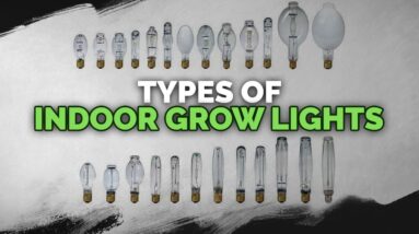 Indoor Grow Lights: CFL, LED, HPS, MH, CMH, and More Explained!