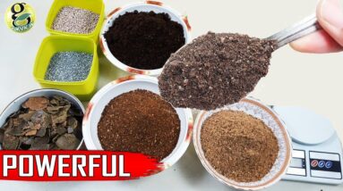 Best DIY Fertilizer Mix Recipe:   Universal All-purpose Mixed Fertilizer Powder