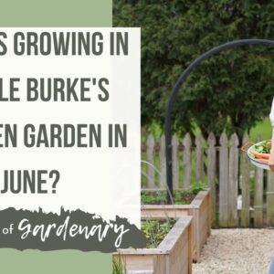 What's Growing in Nicole Burke's Kitchen Garden? Up Close Tour of Intensively Planted Garden In June