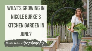 What's Growing in Nicole Burke's Kitchen Garden? Up Close Tour of Intensively Planted Garden In June