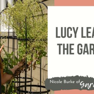 Lucy Leaves the Garden