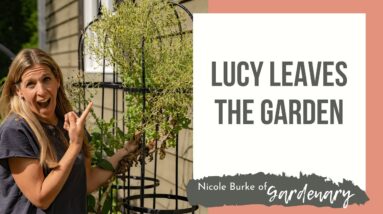 Lucy Leaves the Garden