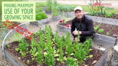 Making Maximum Use of Your Growing Space   The Optimistic Gardener Veg Video Shorts 1