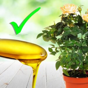 MIRACLES OF NEEM OIL in GARDENING | Best Pesticide Recipes