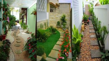 Most Beautiful DIY Garden Pathway Ideas for Backyard