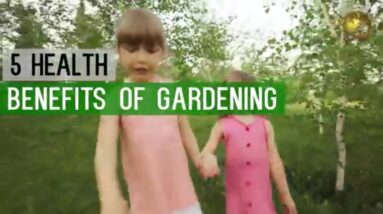 GARDENING: HEALTH BENEFITS as a Hobby - Go Green Stay Healthy! Start Planting Now