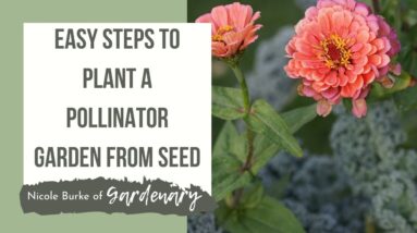 Easy Steps to Plant a Pollinator Garden from Seed for Bees, Butterflies and Hummingbirds