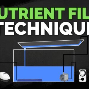 Nutrient Film Technique (NFT) Hydroponics System Tutorial